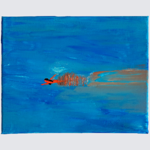 fly or swim